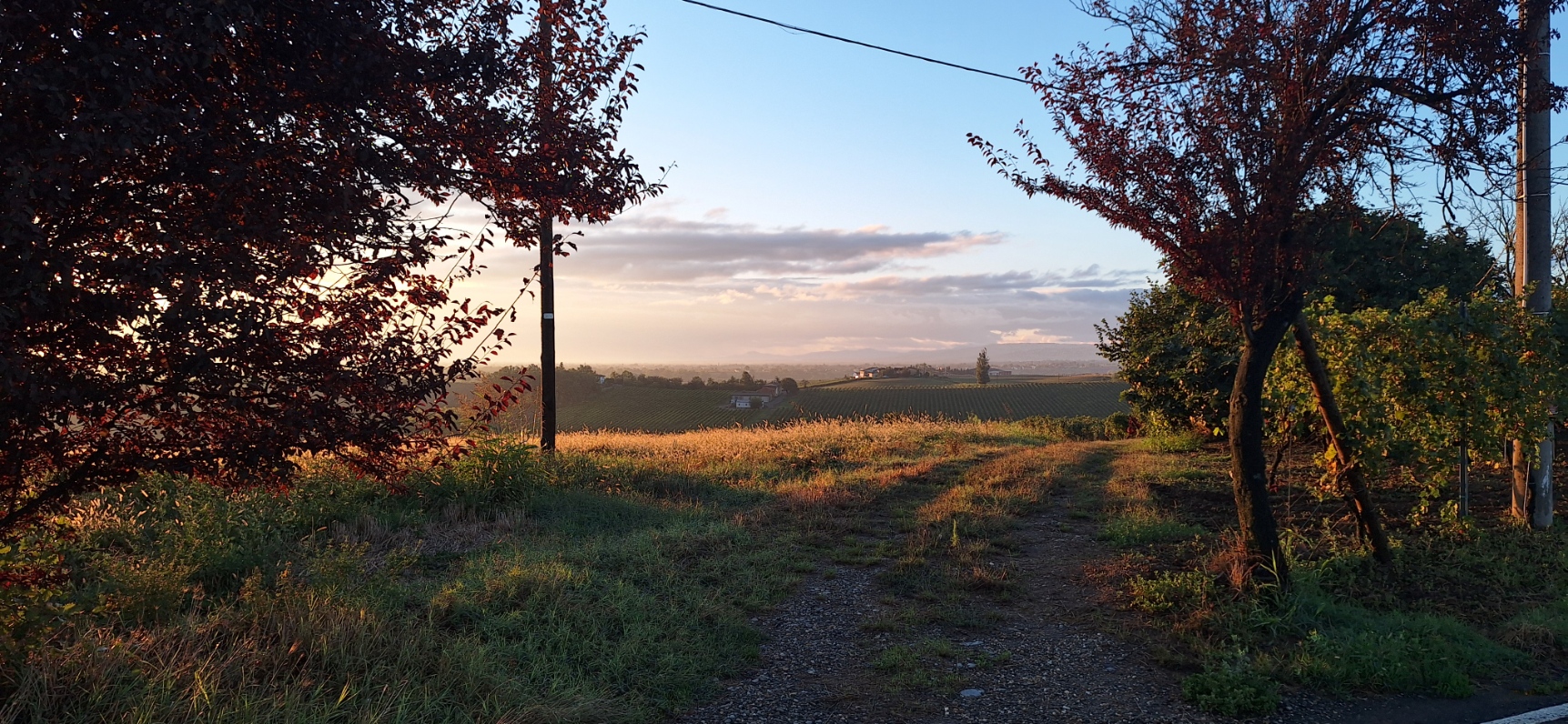 Panorama verso Borgonovo