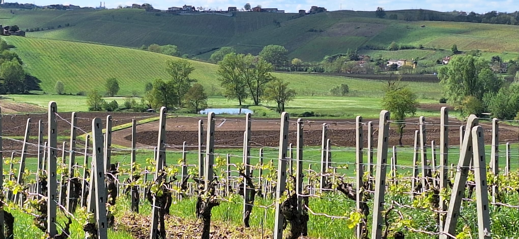 Vallata in primavera