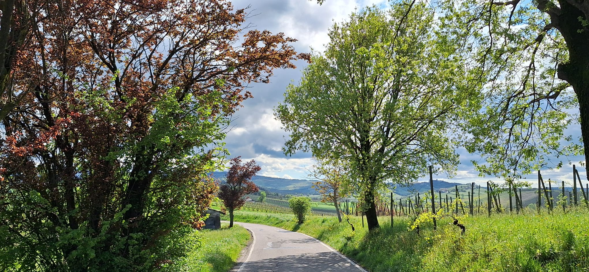 Giornata ventosa